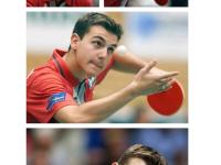 开云体育入口-关于奥地利乒乓球队血洗日本乒乓球队，波尔爆发神勇的信息
