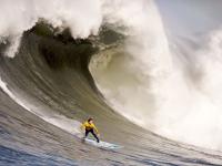 开云体育在线-逆转的意志，从温布利到世乒赛，不灭的竞技之光