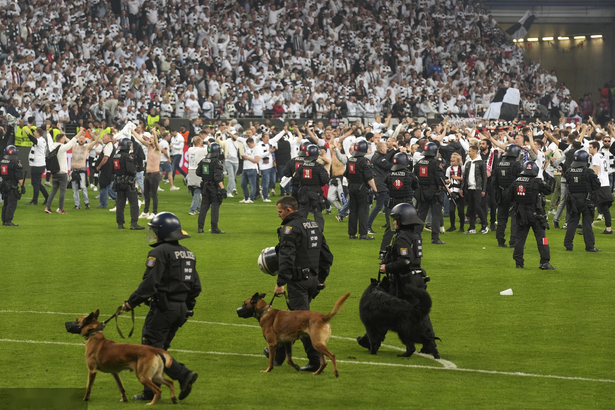 关于法兰克福球迷积极早早赛季,期待好成绩的信息 关于法兰克福球迷积极早早赛季,期待好成绩的信息