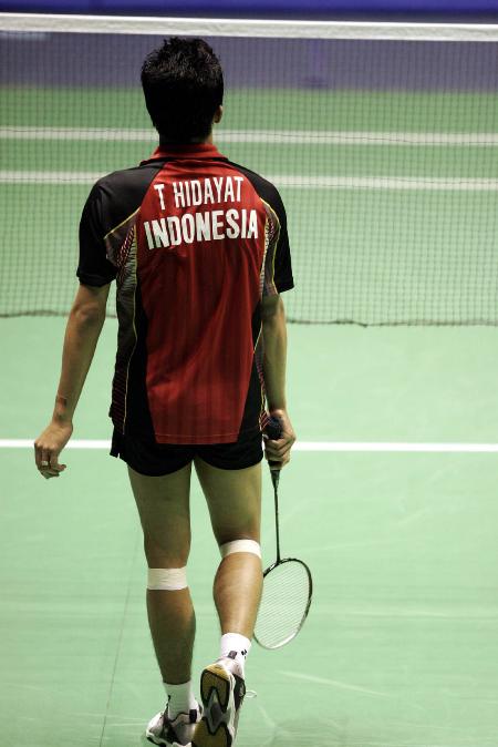 中国羽毛球队完胜马来西亚羽毛球队，陶菲克惊艳世界的简单介绍