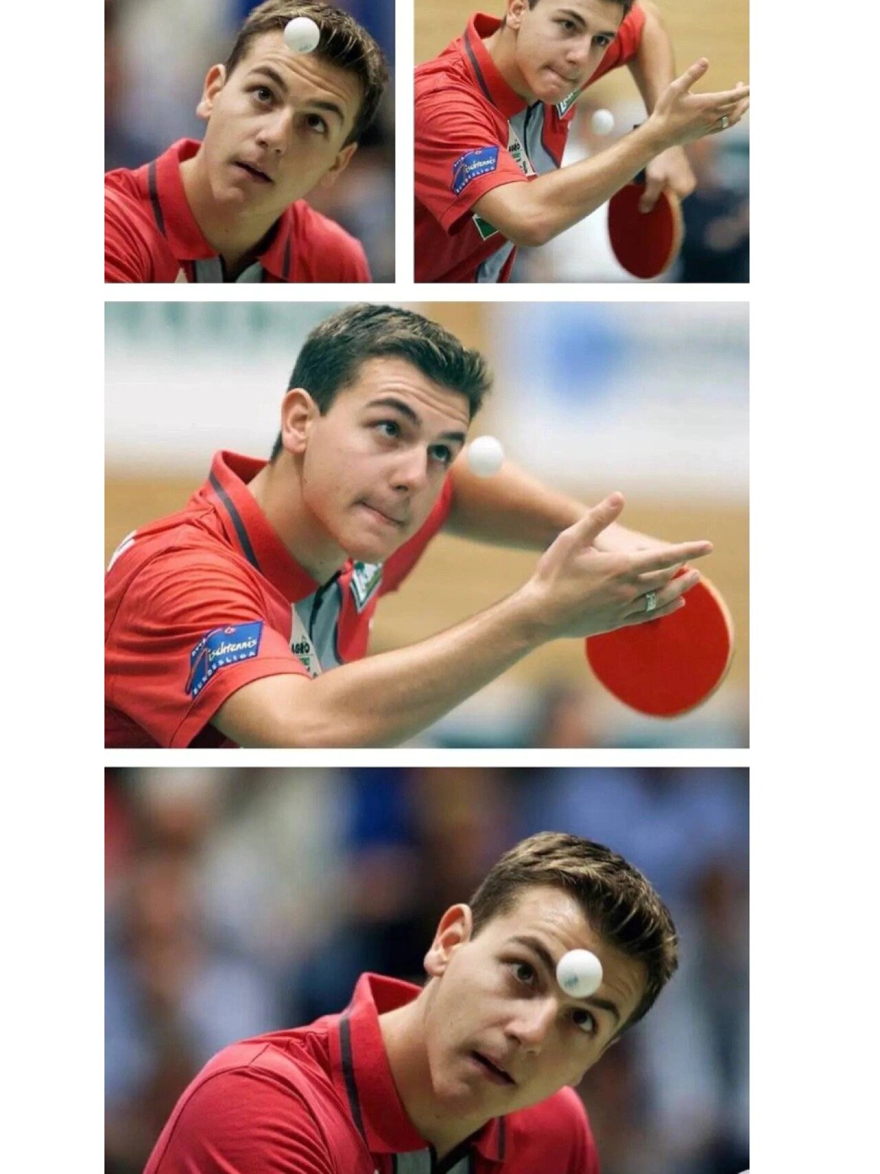 关于奥地利乒乓球队血洗日本乒乓球队，波尔爆发神勇的信息